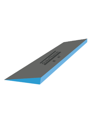 Shower Ramp